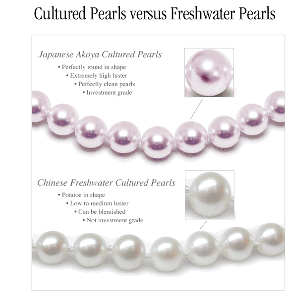 Pearls-Akoya versus freshwater pearls