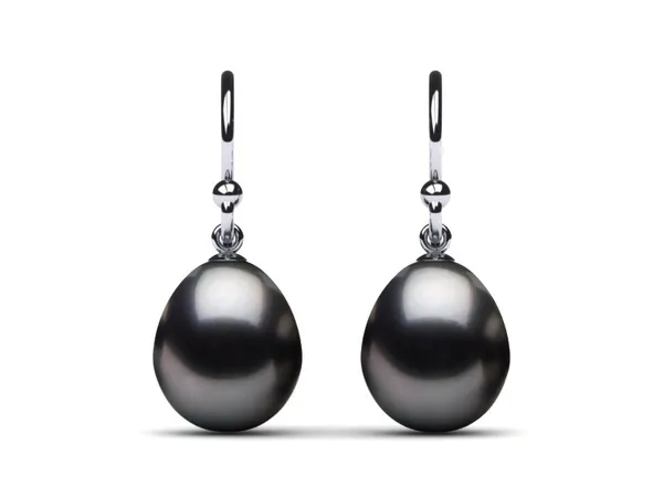 Tahitian Pearl French Wire Drop Earring