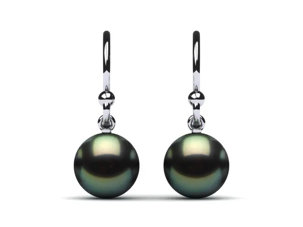 Tahitian Pearl French Wire Loop Earring
