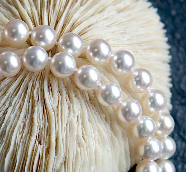 9.5 x 10mm TRUE AAA Quality Akoya Pearl Necklace 36