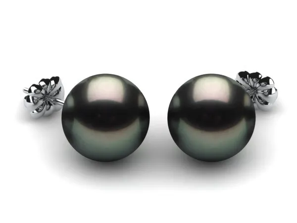 10mm Black South Sea Tahitian Pearl Earring