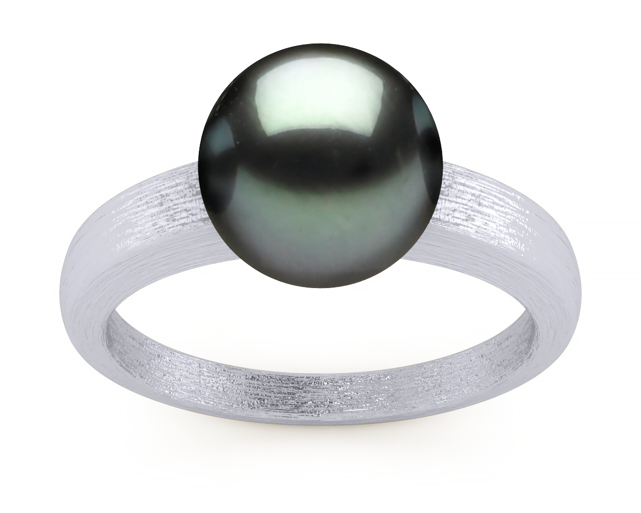 Tahitian Pearl Steel Ring Brush Finish