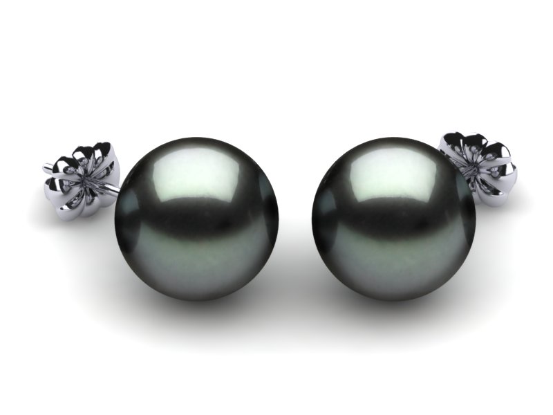 10mm Tahitian Pearl Stud Earrings
